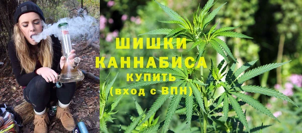 мдпв Бугульма