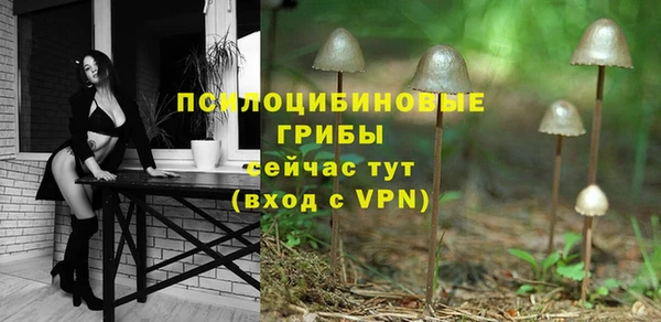 прущий лед Бородино