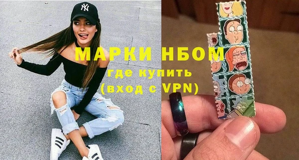 прущий лед Бородино