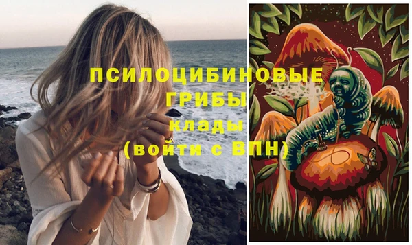 прущий лед Бородино