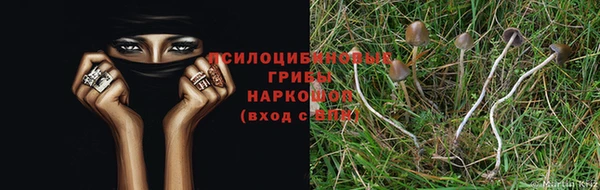мдпв Бугульма