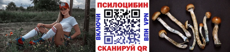 Галлюциногенные грибы MAGIC MUSHROOMS  продажа наркотиков  Кировград 